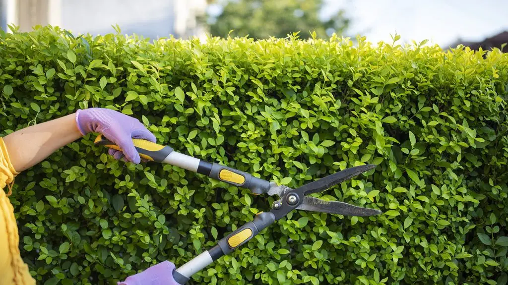 5 Stealthy Home Security Hacks